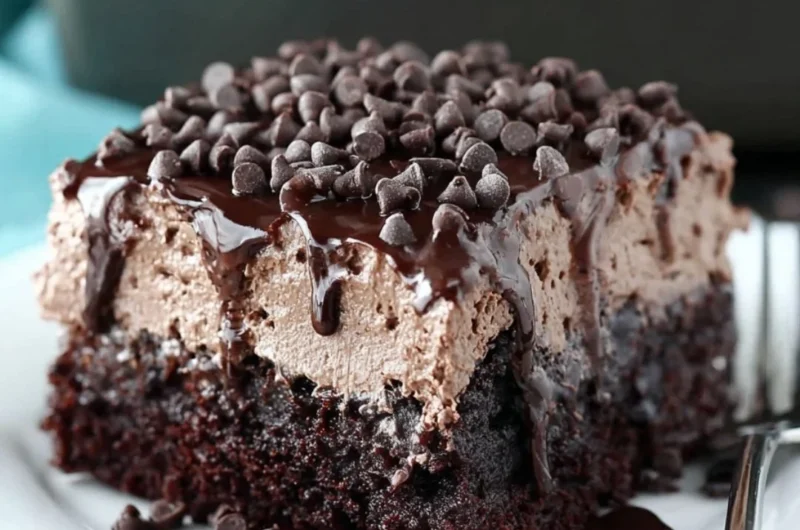 Delicious Chocolate Poke Cake with chocolate frosting and toppings