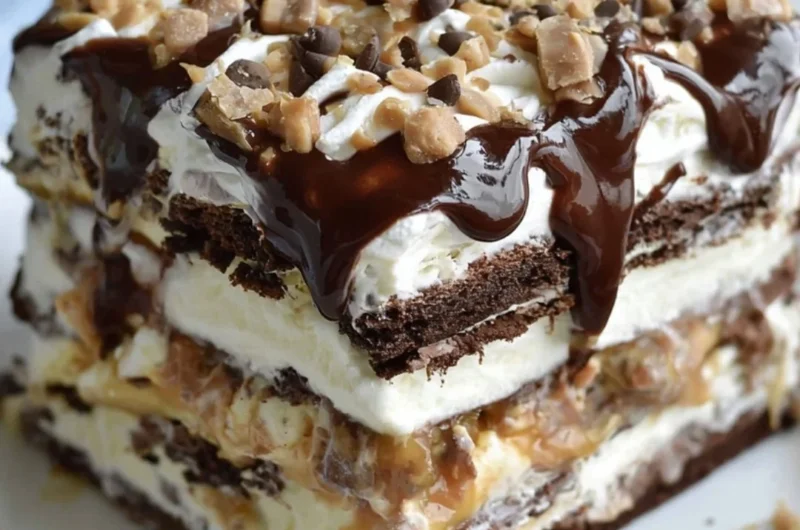 Delicious ice cream sandwich cake with layers of ice cream and cookies