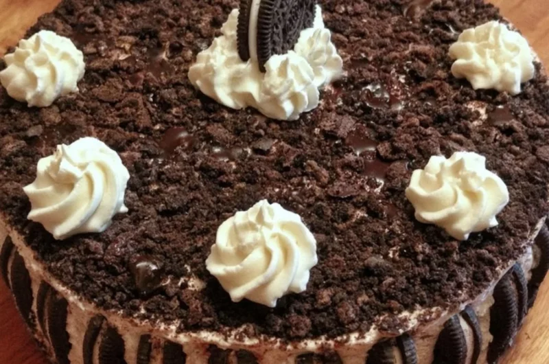 Oreo Easy Ice Cream Cake decorated with chocolate and whipped cream